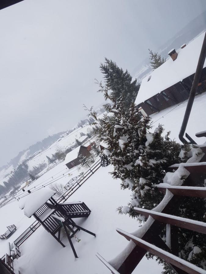 Pensiunea La Bella Vista Poiana Negrii Buitenkant foto