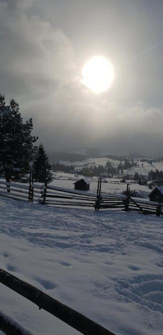 Pensiunea La Bella Vista Poiana Negrii Buitenkant foto